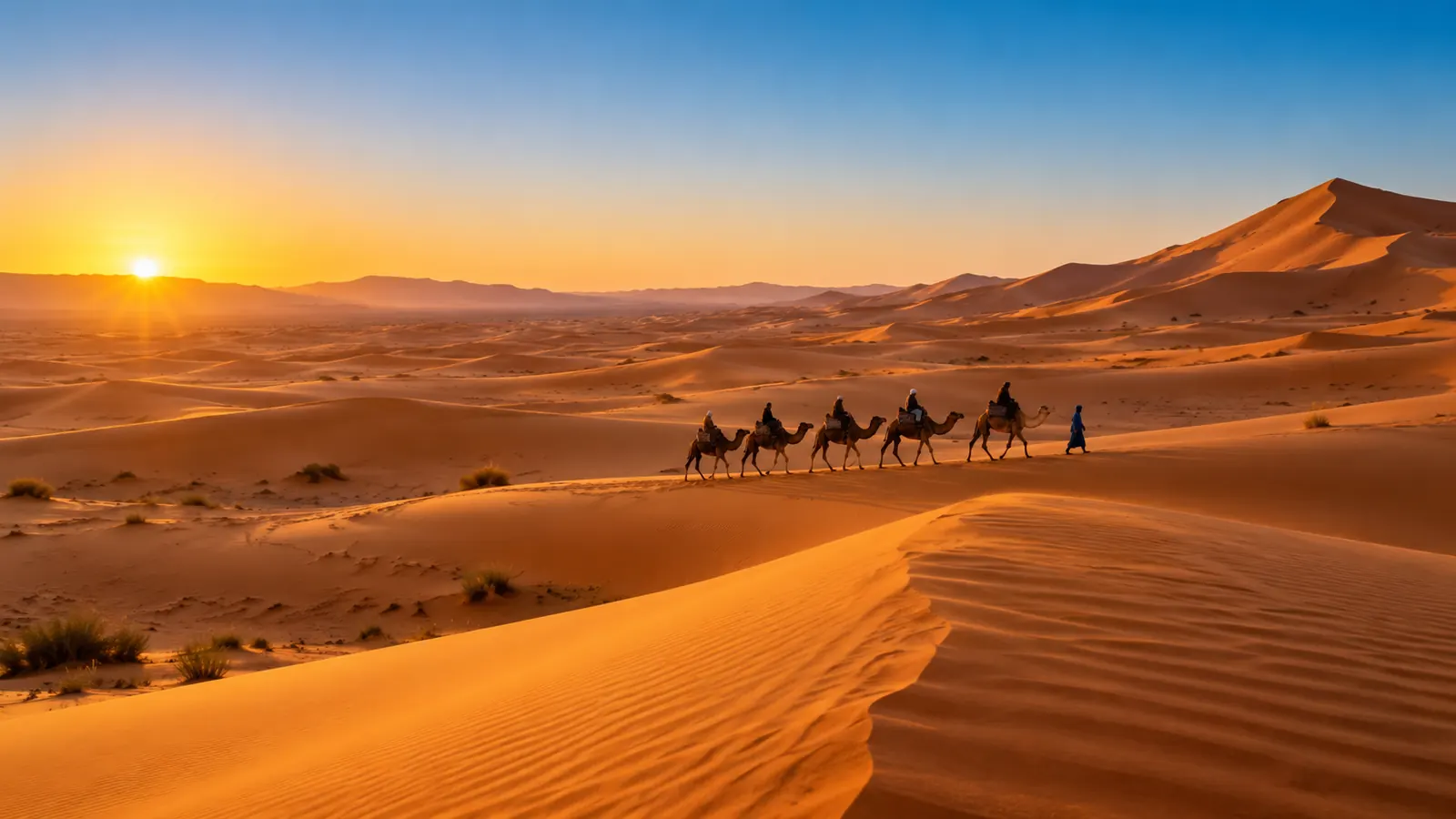 Sahara
